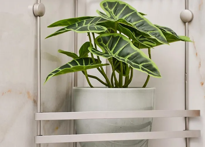 Apartmán Kim & C O Loft - Evadare Romantica - By Open House